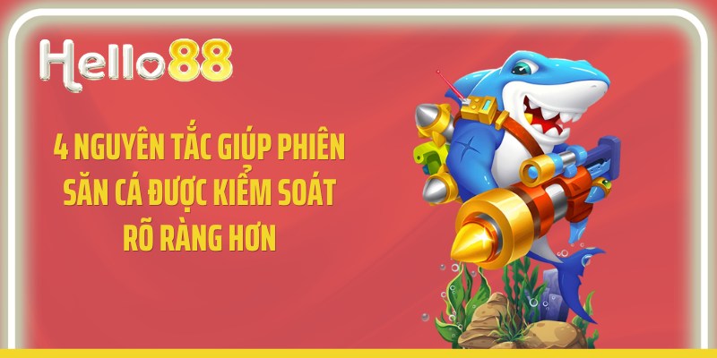 4 nguyên tắc giúp phiên săn cá được kiểm soát rõ ràng hơn