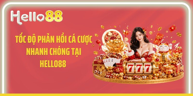 Tốc độ phản hồi cá cược nhanh chóng tại Hello88 